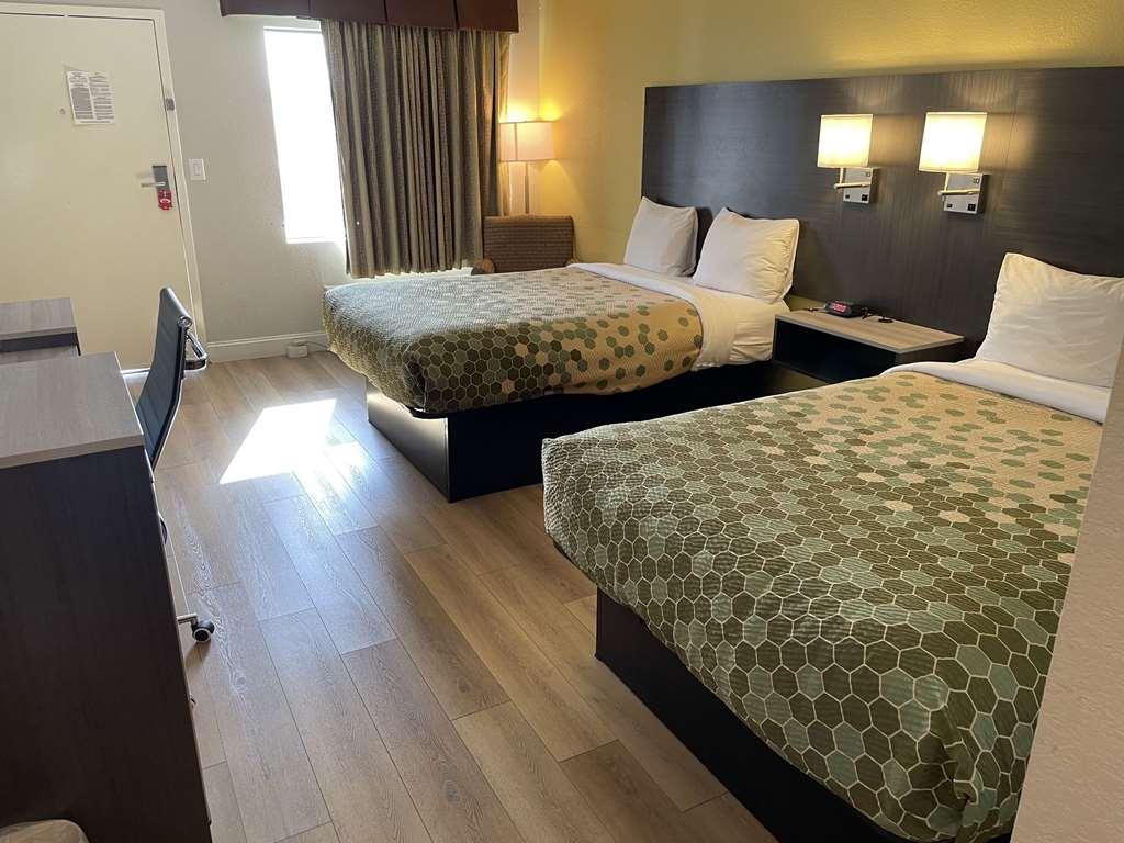 Econo Lodge White Pine Morristown I-81 & I-40 Split Номер фото